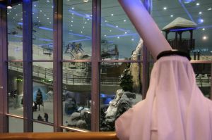 Skihalle in der Mall of the Emirates