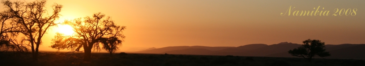Reisebericht: Namibia 2008